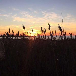 Meet your Posher, Cameron